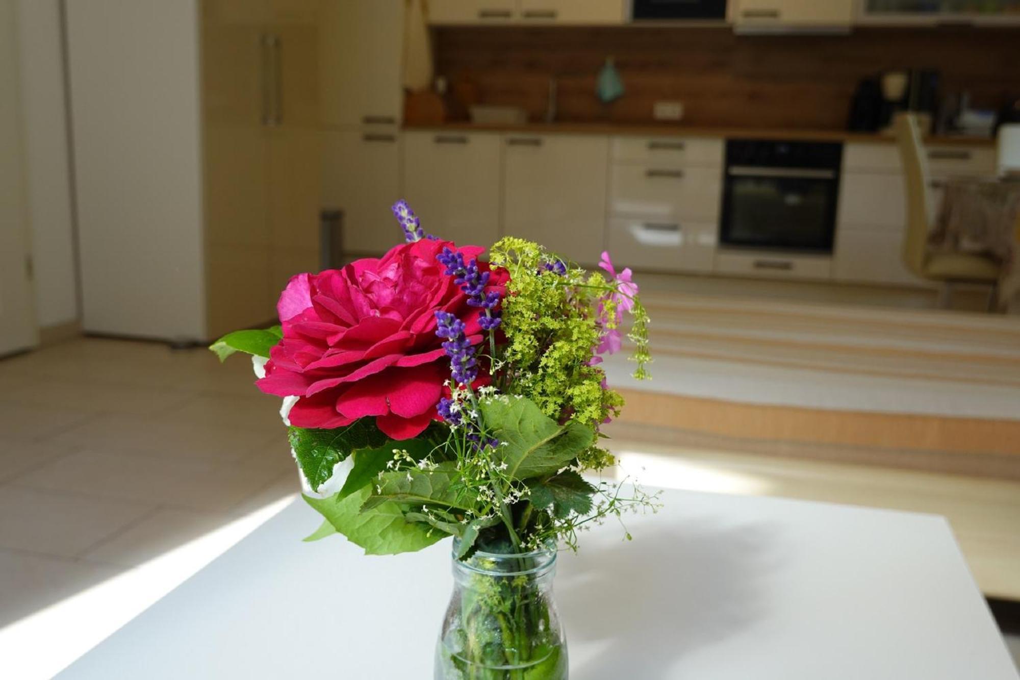 Im Goldtal Apartment Bad Abbach